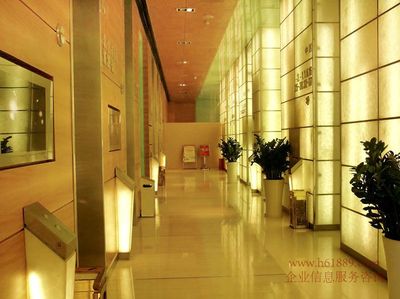 金中環國際商務大廈全新靚房多套出租，面積任選，實拍圖片呈現
